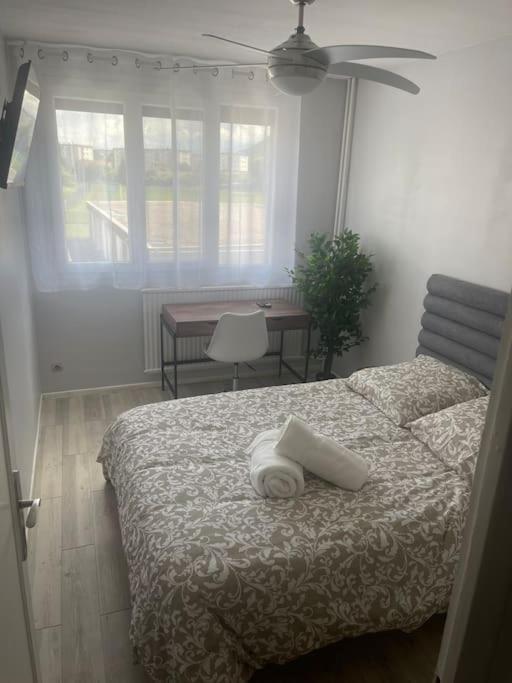 Appartement Entier Climatise - Parking Prive Saint-Martin-dʼHères Exterior foto